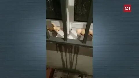 Затопление балкона