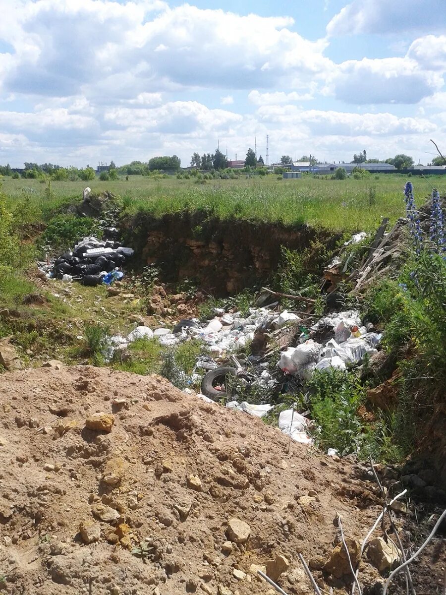 Стратотип. Стратотип Гжельского яруса каменноугольной системы. Стратотип Московского яруса Домодедово. Стратотип Гжельского яруса находки. Гжельский ярус окаменелости.