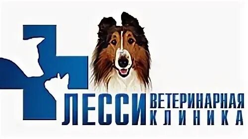 Солнышко ветеринарная