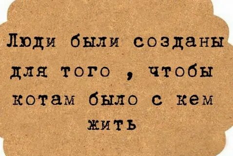 Люди сат