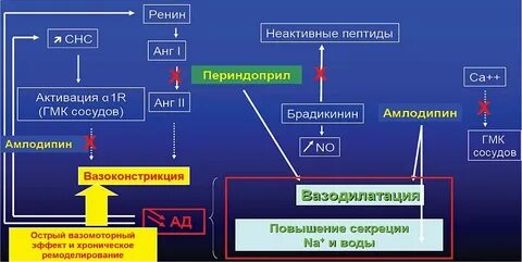 Ренин плазма