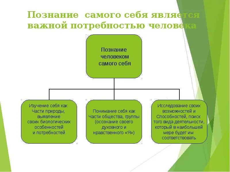 Чего человек сам входит в. Познание человеком самого себя. Познание самого себя это в обществознании 6. Правила познания самого себя.