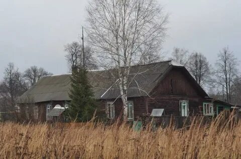 Погода в великодворском