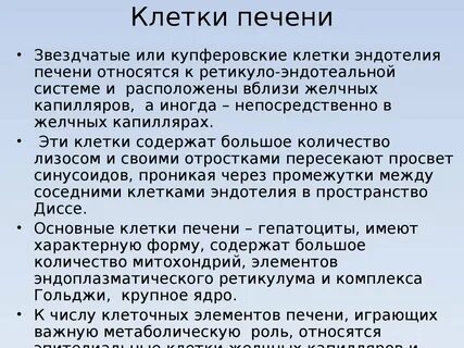 Купферовские клетки печени