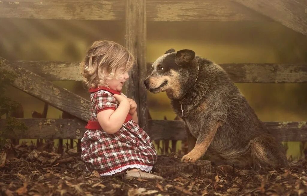 Потерпи маленькая. Собака для детей. Дворняжка девочка. Девочка и бездомная собака. Девочка и щенок.