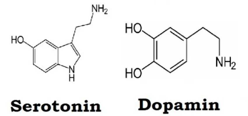 Химическая формула эндорфина. Дофамин гормон формула. Эндорфин формула химическая. Серотонин формула структурная. Формула эндорфина