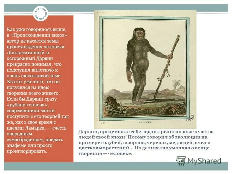 теория дарвина о эволюции человека. чарльз дарвин произошел от обезьяны. теория эволюции дарвина. эволюция дарвина в картинках. дарвин человек произошел от обезьяны.