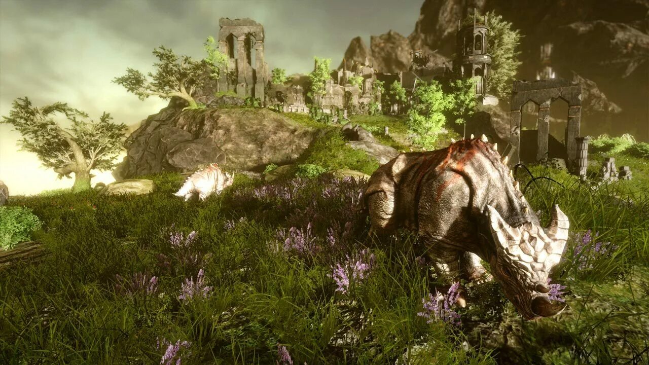 Risen 3: Titan Lords - enhanced Edition. Risen Titan Lords. Готика Risen Елекс.