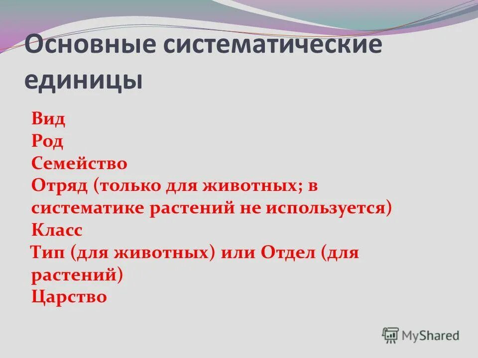 исходная единица систематики