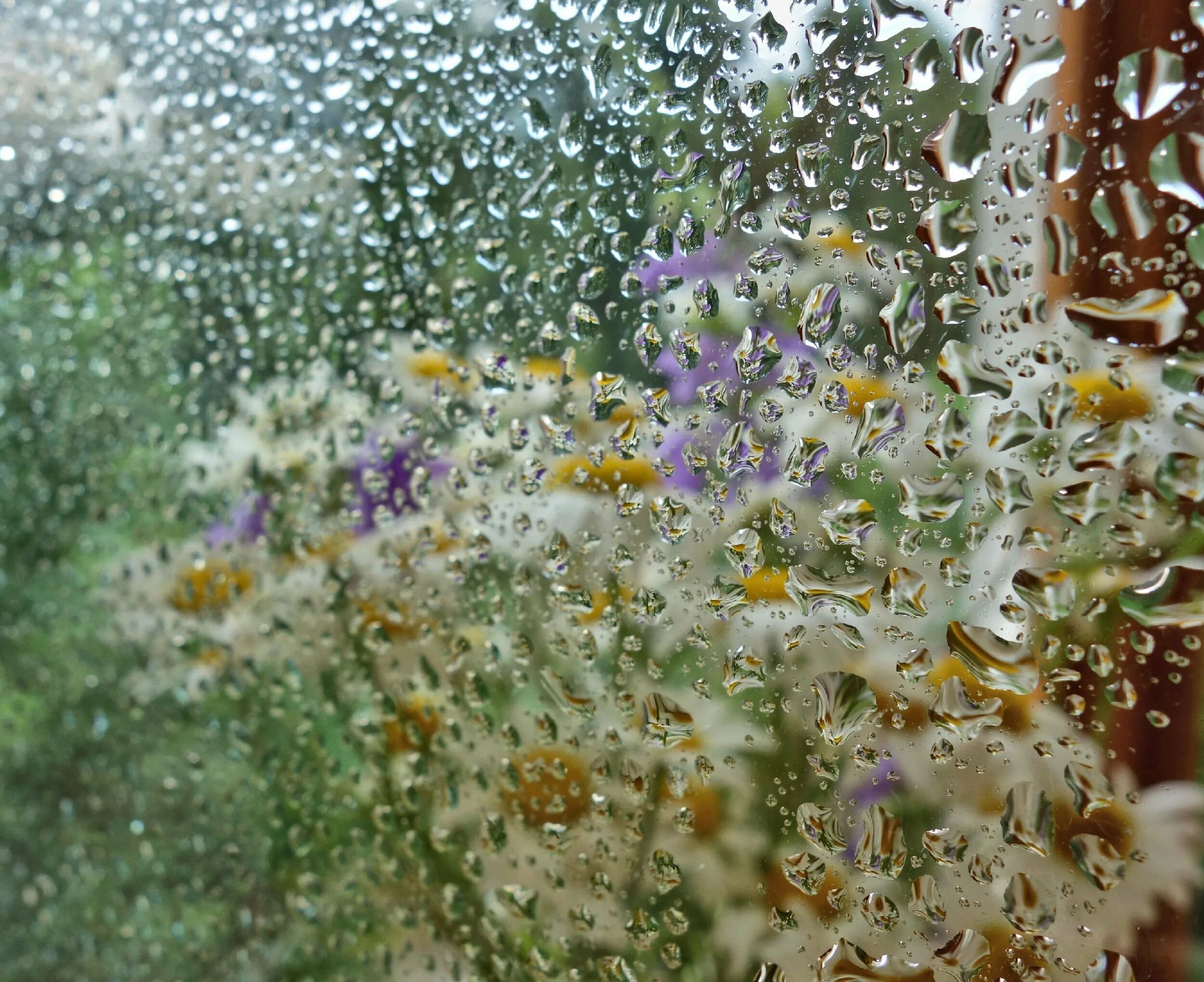 Видеть за окном дождь. Летний дождь. Летний ливень. Лето дождь. Дождь за окном.