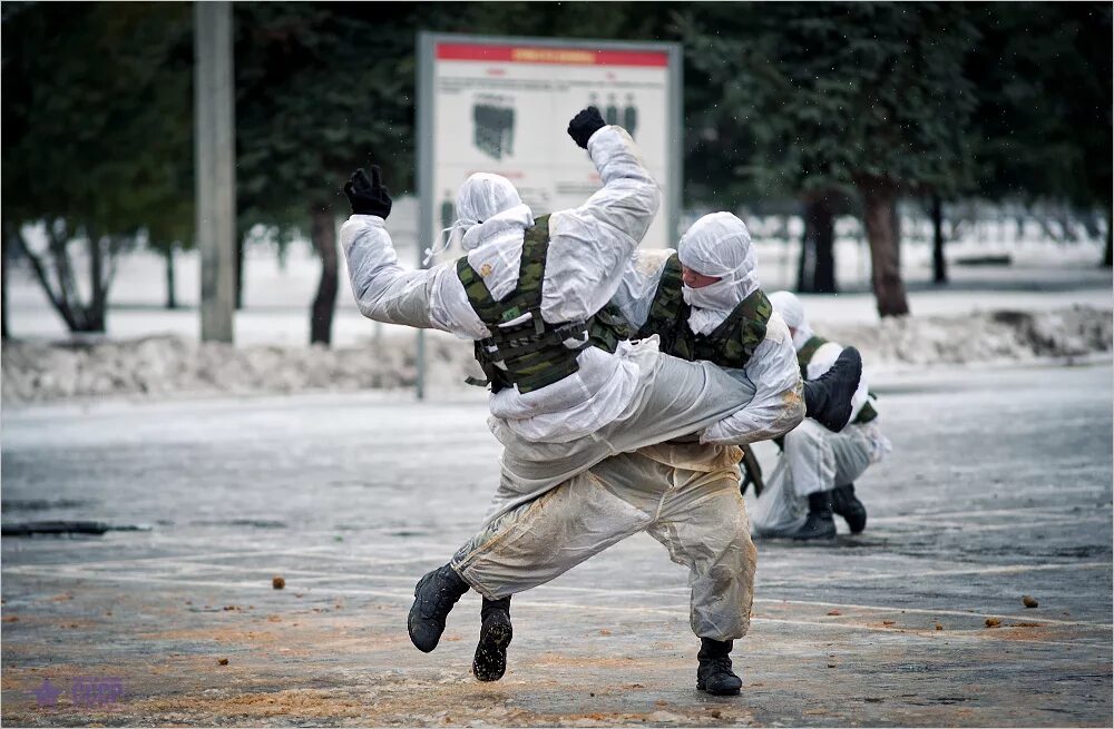 Рукопашный бой в армии. Спецназ россии рукопашный бой. Рукопашная спецназа. Рукопашный бой спецназа альфа. Рукопашная спецназа.