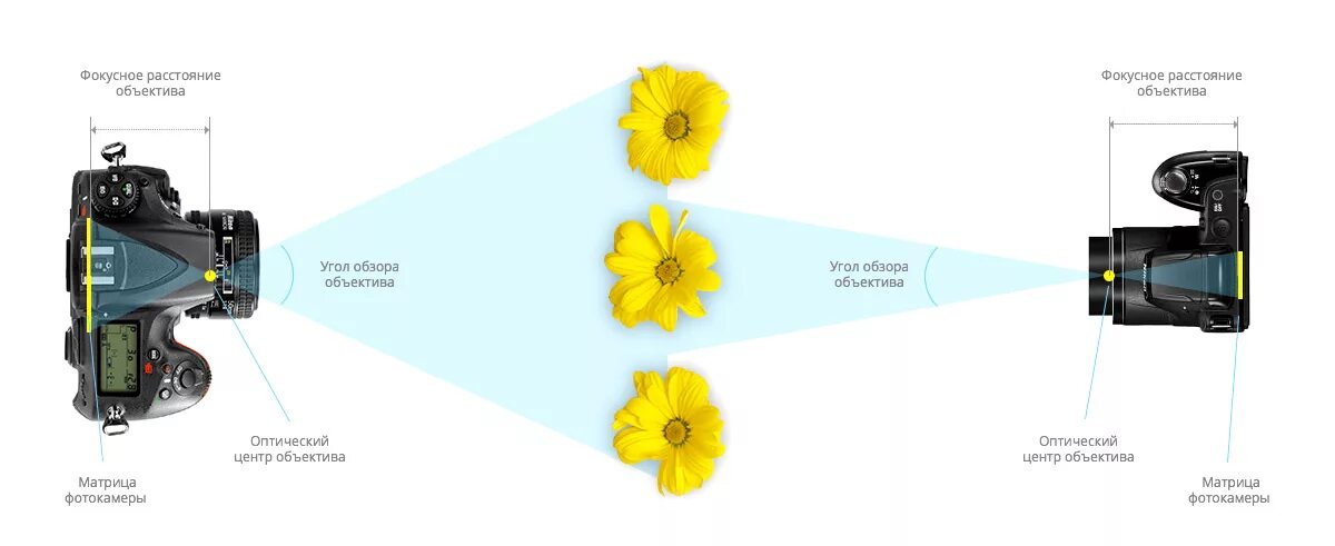 5 и объектив 50мм. как свет проходит через объектив. фокусное расстояние объектива кроп. схема фокальных объектив. 6 50мм.
