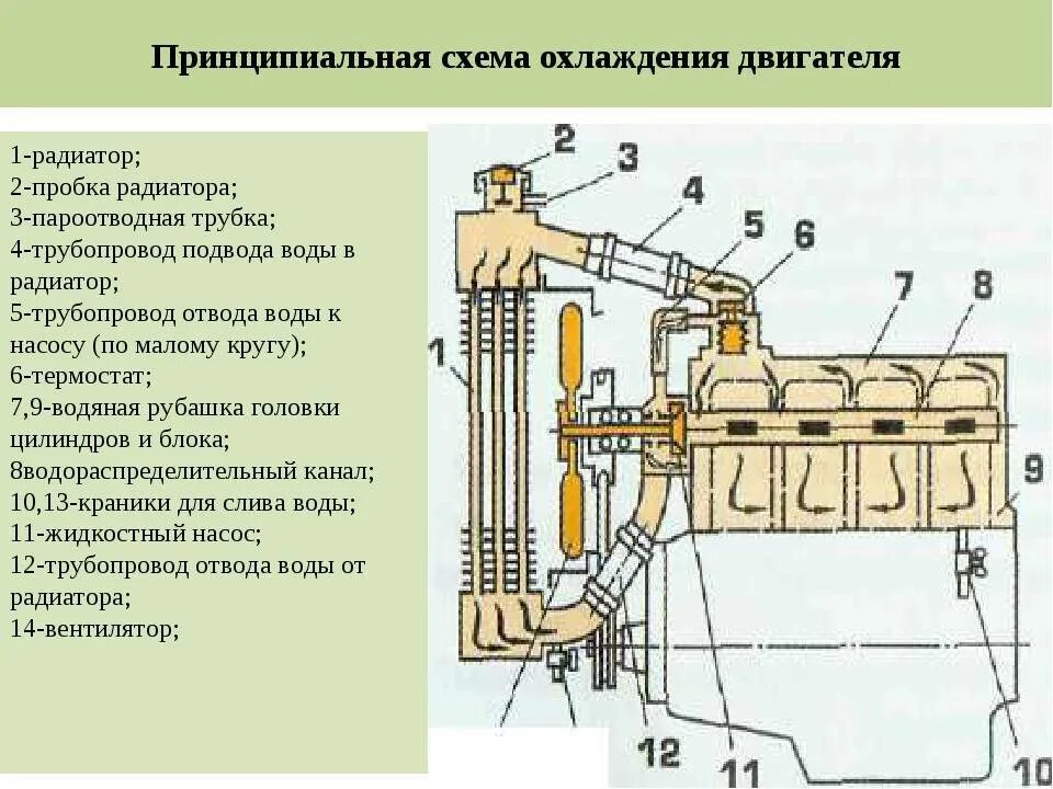 Принципиальная схема системы охлаждения двигателя автомобиля. Принципиальная схема системы охлаждения ДВС. Принципиальная схема жидкостной системы охлаждения двигателя. Схема жидкостной системы охлаждения двигателя автомобиля