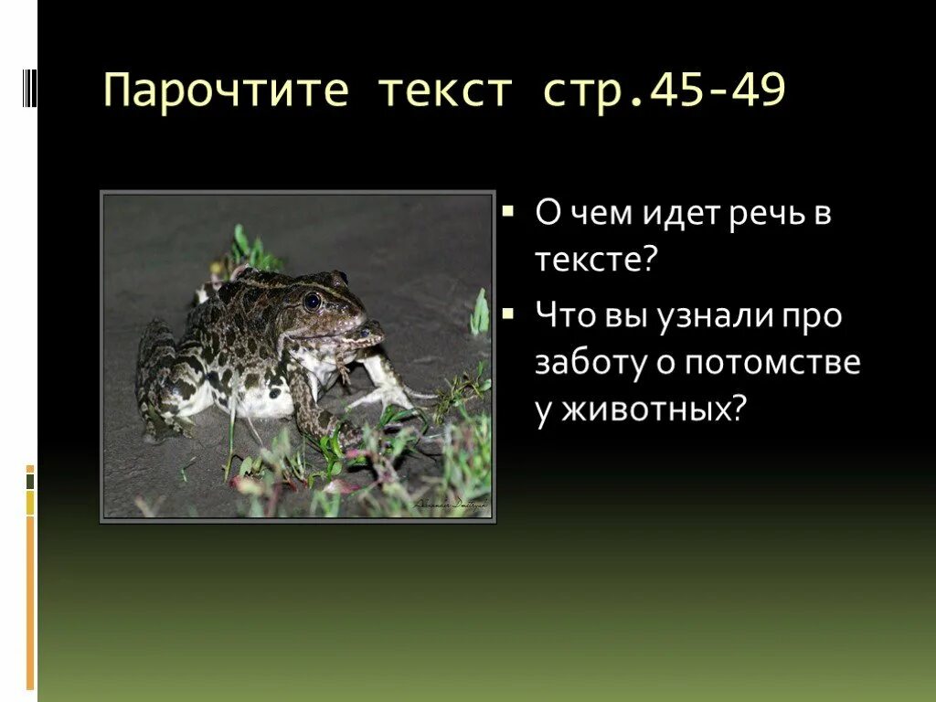 Привести примеры заботы о потомстве. Забота о потомстве презентация по биологии. Проект на тему забота о потомстве. Проект забота о потомстве у животных. Как животные заботятся о потомстве примеры.