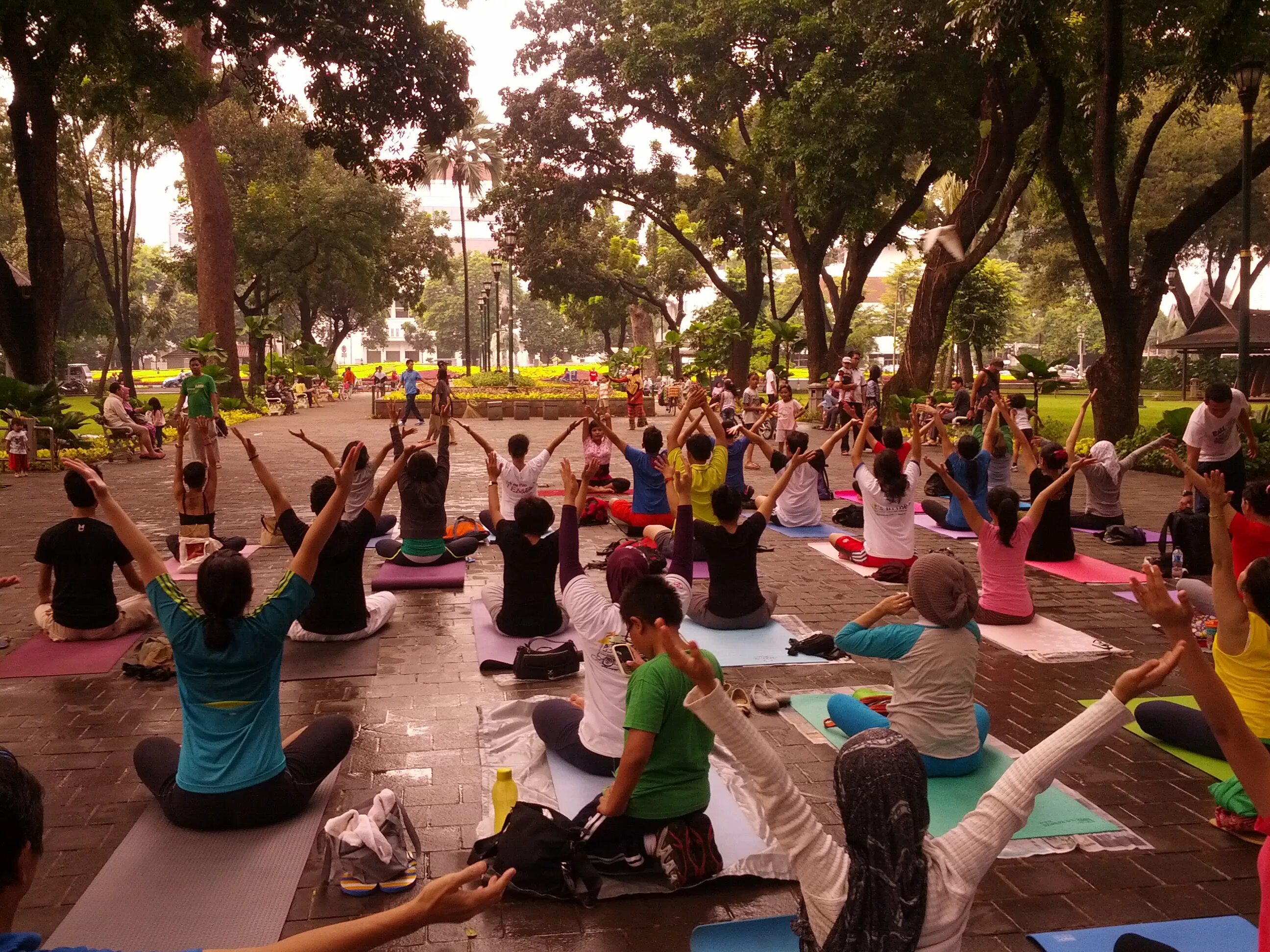 Йога сообщество. Комьюнити йогов. Йога комьюнити менеджмент. International Yoga Day event. Community when