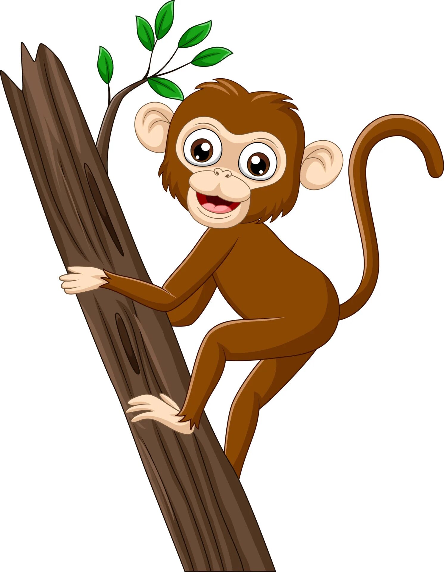A chimp can climb