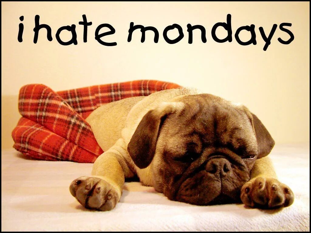 Why hate