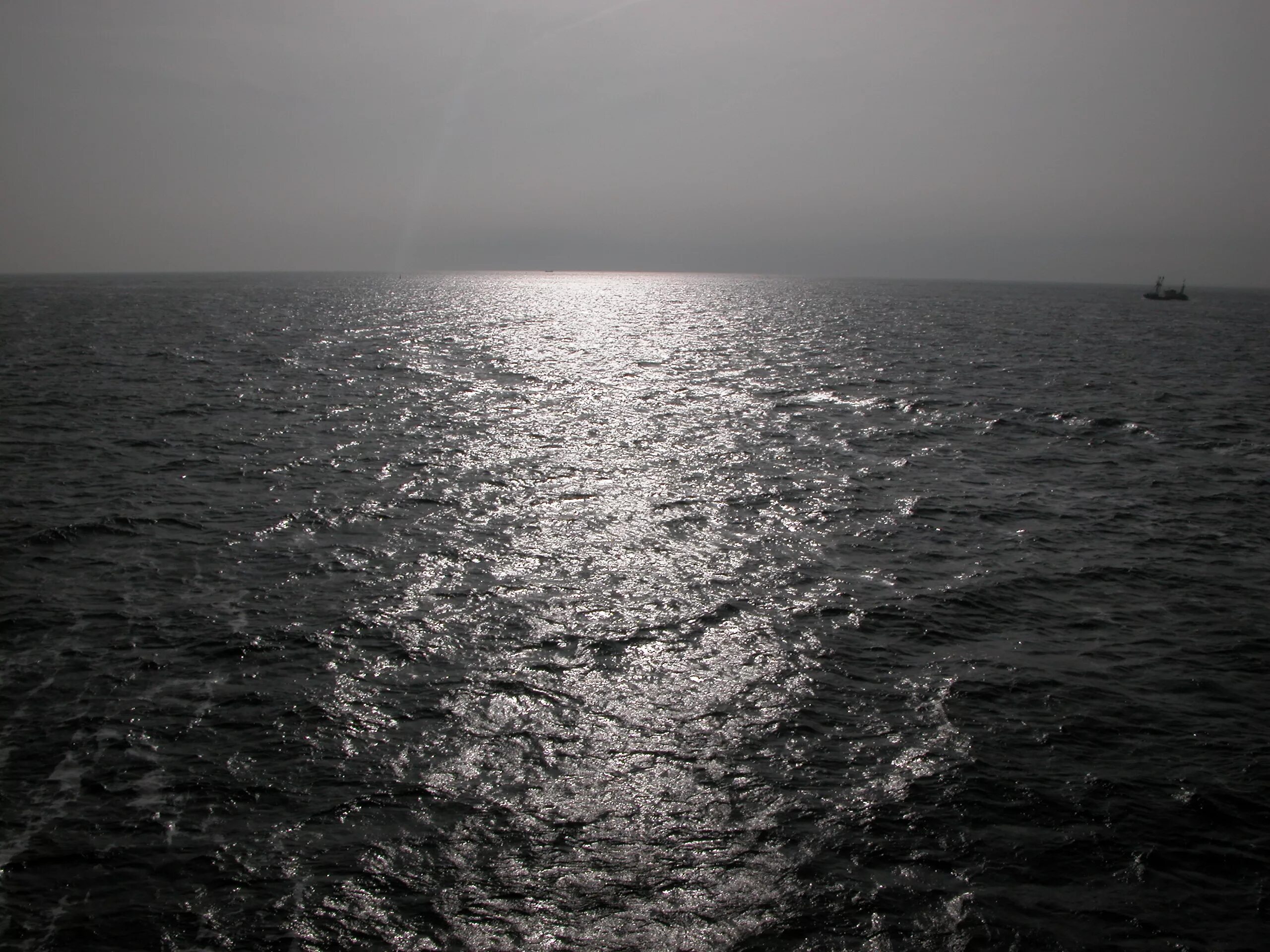 Черные воды фото. Черное море. Море черного цвета. Черное море черного цвета. Черное море фон.