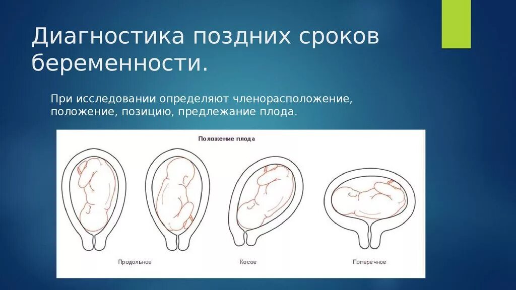 Поздняя беременность роды. Диагностика беременности. Диагностика ранних сроков беременности. Методы диагностики ранних сроков беременности. Методы диагностики поздних сроков беременности.