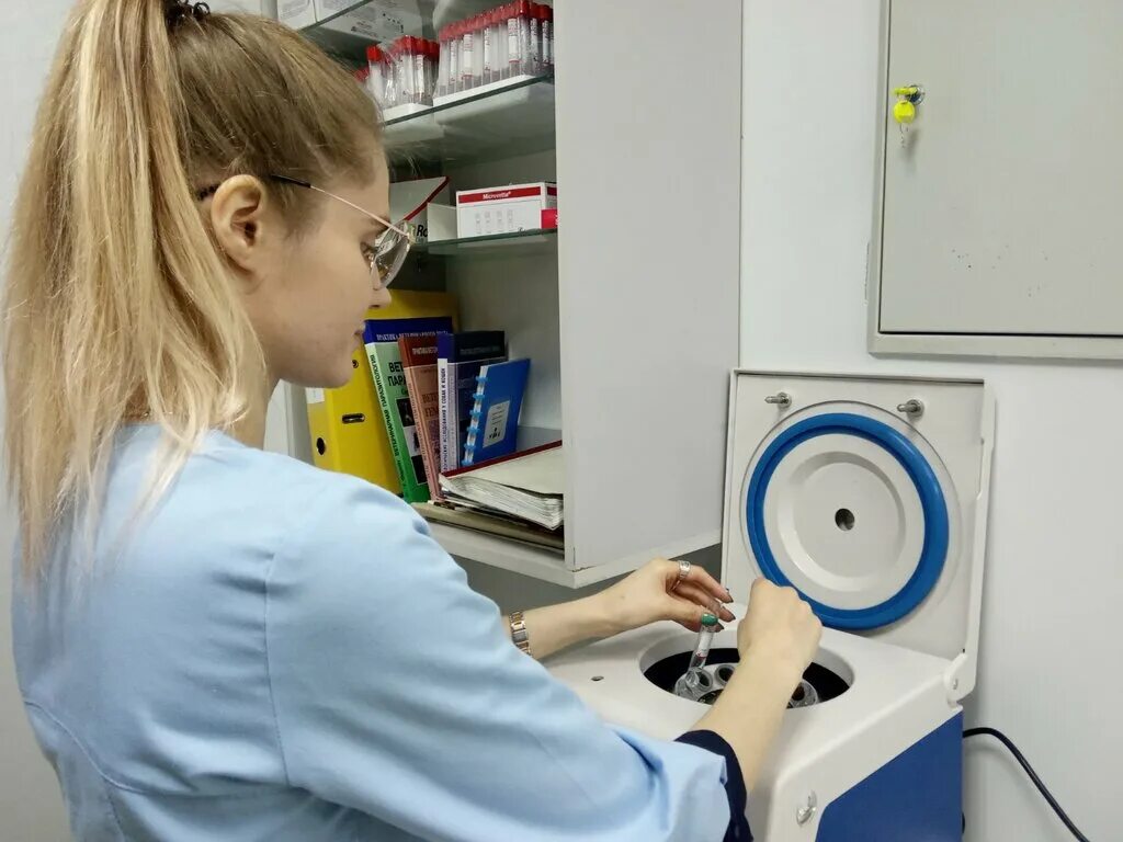 где в гомеле можно сдать