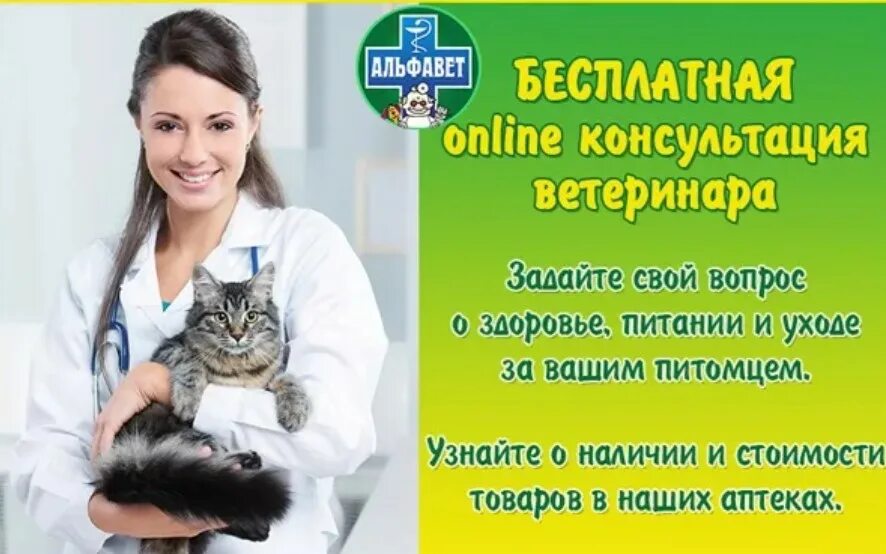 Бесплатный круглосуточный ветеринар. Ветклиника консультация.