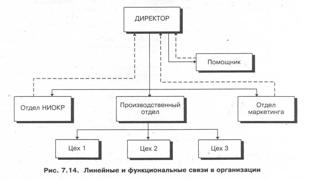 Функциональные связи между структурными элементами. Функциональные связи. пример функциональной связи. функциональные связи это в менеджменте. функциональные связи между предметами.