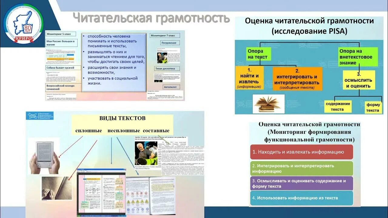 Шейкин в мире информации. Читательская грамотность. Функциональная грамотность читательская грамотность. Буклет читательская грамотность. Буклет по читательской грамотности.