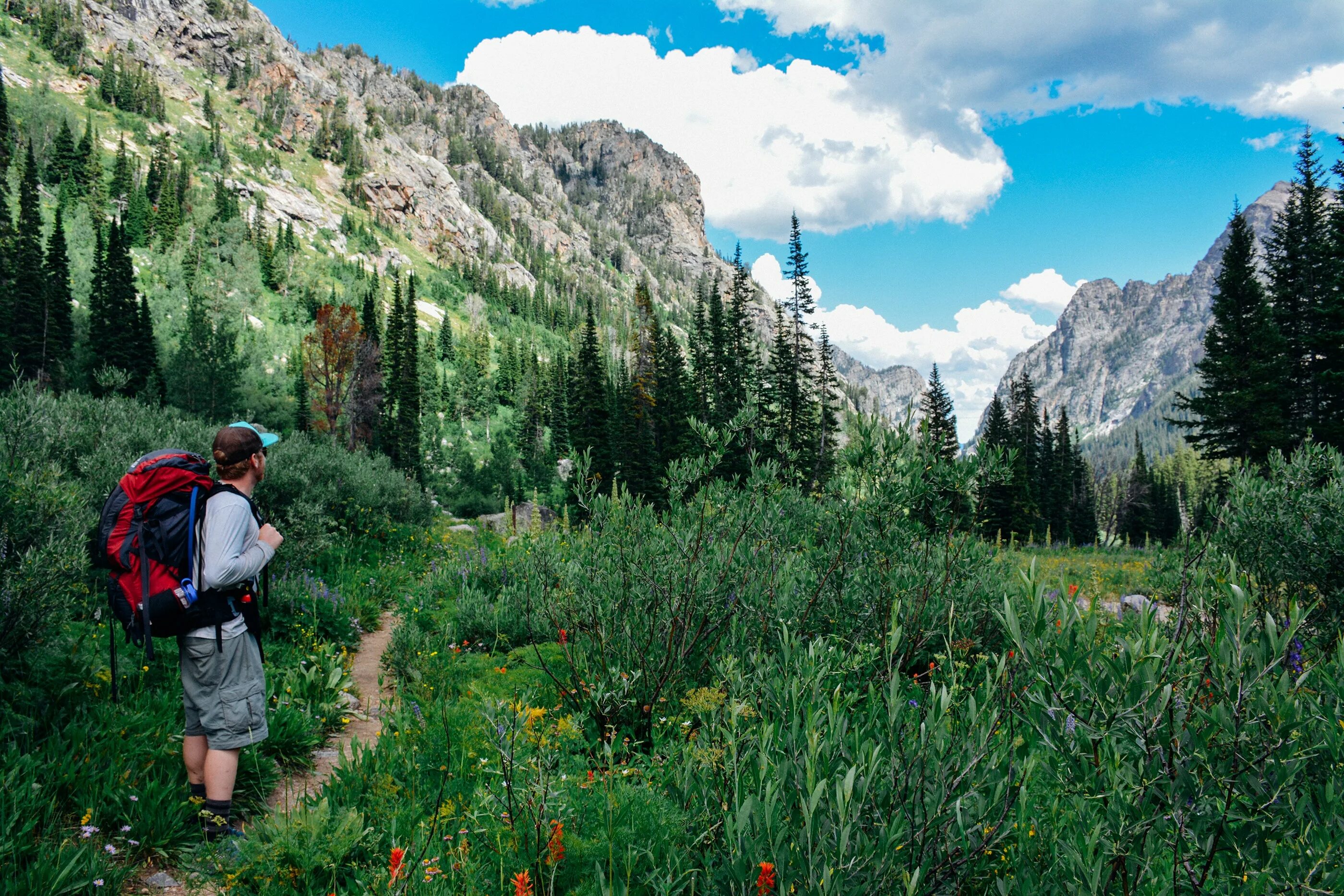 Exploring the wilderness