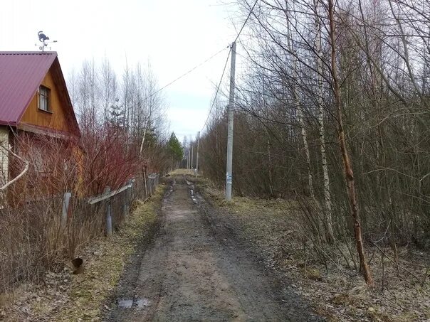 Садовое товарищество ручей. СНТ Ручеек. СНТ Ручеек Романовка Гатчинский район. Тел.СНТ Молодиловский ручей.