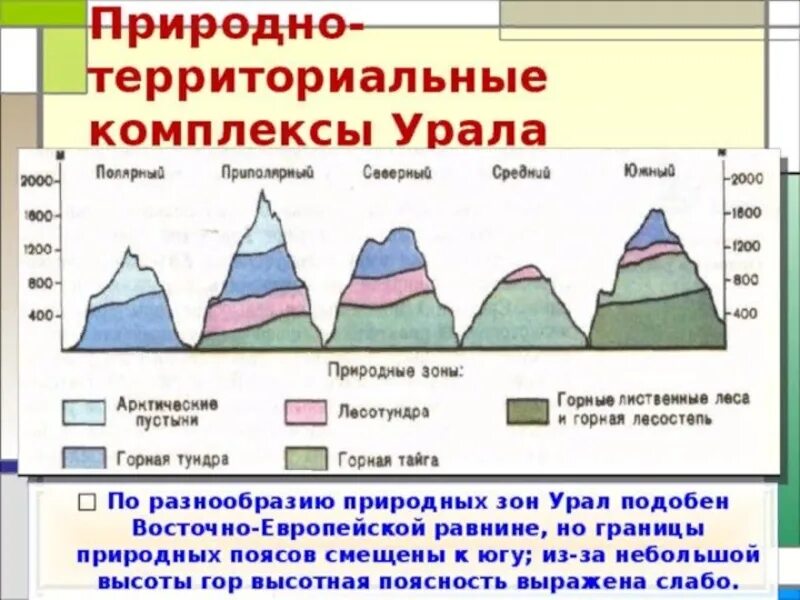 Высотная поясность уральских гор гор. Схема ВЫСОТНОЙ поясности гор Урала. Высотная поясность уральских гор схема. Высокая пояность уральских гор. Почему высотная поясность