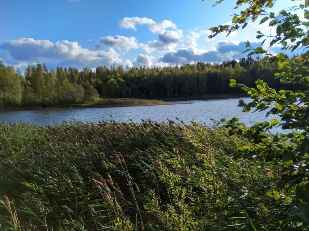 Зубцовском районе ржев