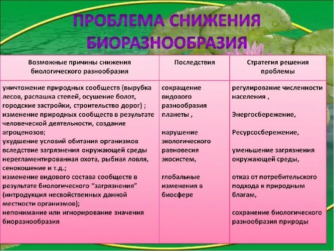 Причины сокращения видового разнообразия животных. Снижение биологического разнообразия последствия. Потеря биоразнообразия причины. Последстви яснидения биологического разнообразия. Сокращение биологического разнообразия последствия.