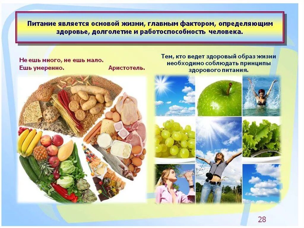 Природная основа организма. Принципы здорового питания. Здоровый образ жизни факторы здоровья. Правильное питание для здорового образа жизни. Факторы здорового питания.