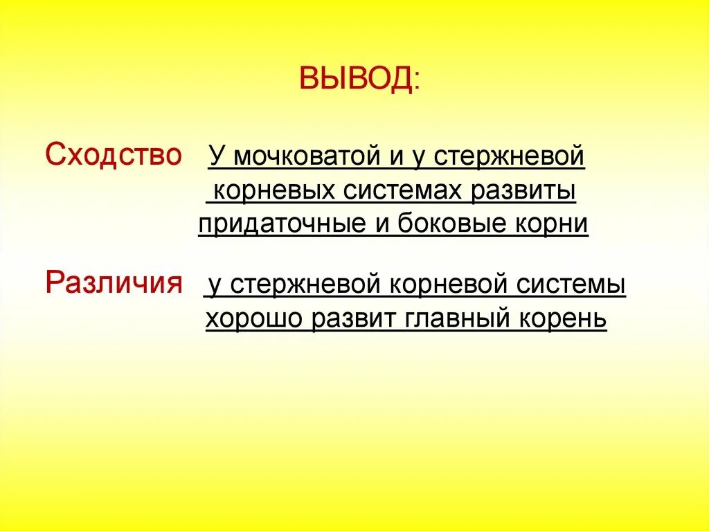 Различия стержневой и мочковатой корневых систем. Вывод по стержневой и мочковатой корневых систем. Сходства и различия стержневой и мочковатой корневой системы.