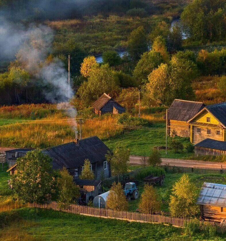 Душевно про деревню. Вепсский лес Тихвин. Лукино Вепсский лес деревня. Вепсский лес деревня Ярославичи.