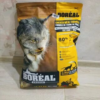 Котиком отзывы