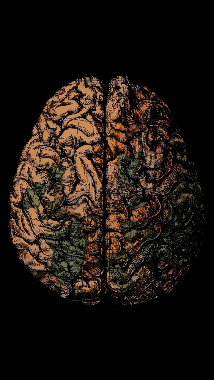 Телефон brain. Мозг Wallpaper. Мозг на черном фоне. Мозг Минимализм.