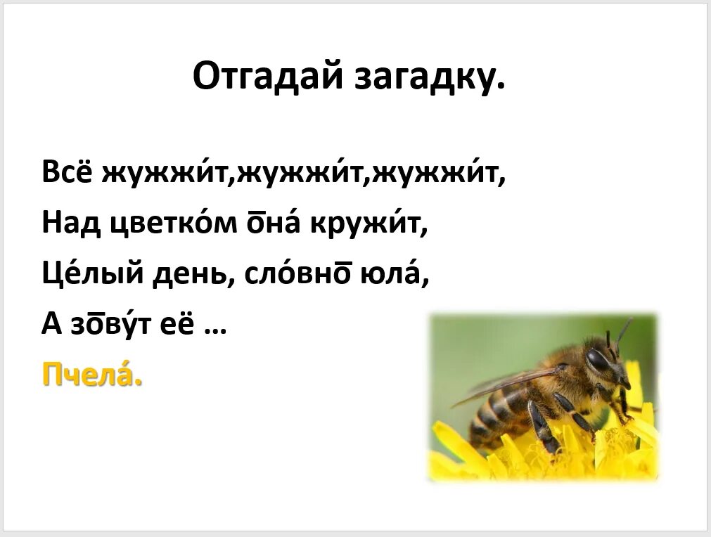 Про мух и пчел. Муха и пчела басня. Муха и пчела басня Крылова. Муха и пчела басня Михалков. Пчела и Муха сказка.