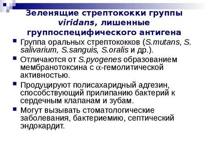 Стрептококк антиген