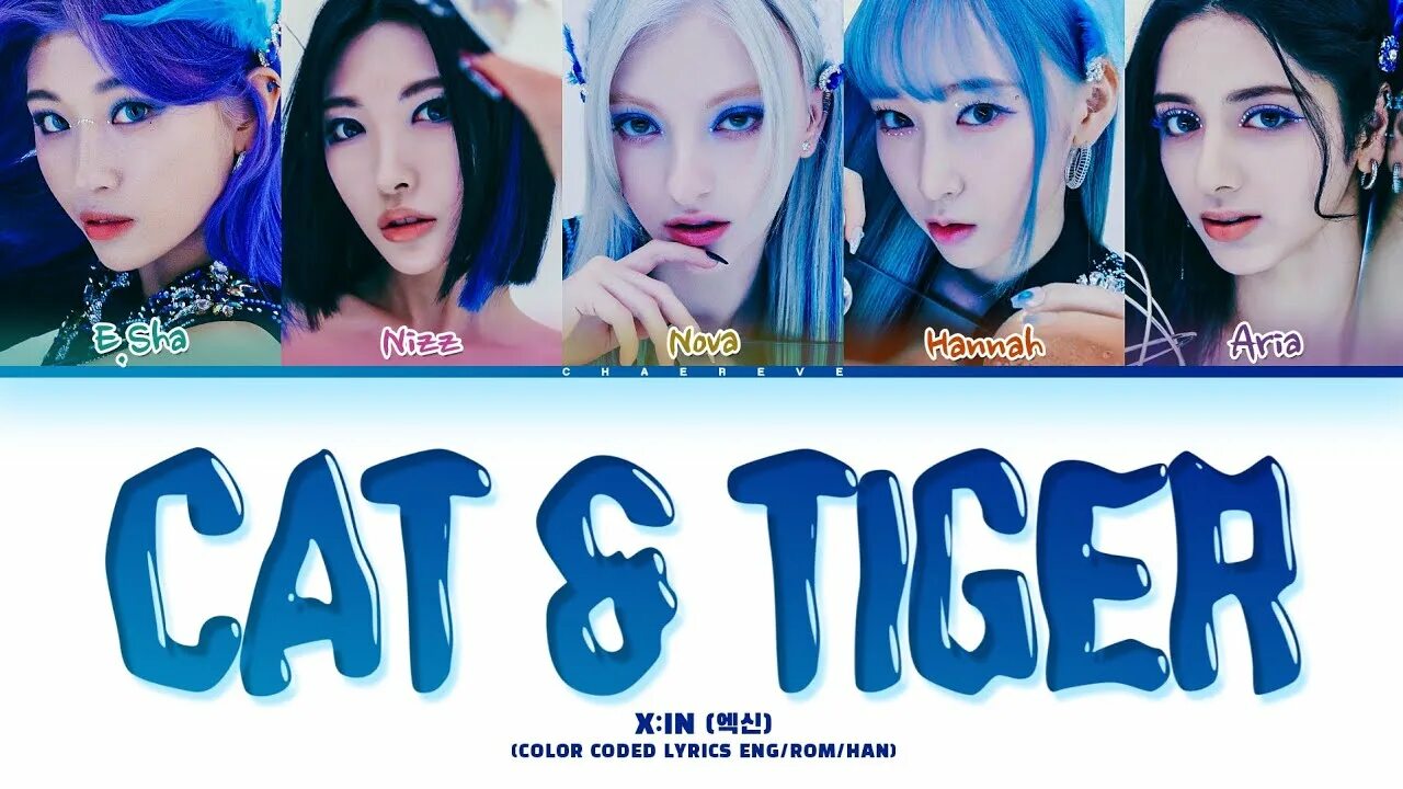 Песня cat tiger. Тигр морда. Кот тигр. Песня cat tiger. Песня cat tiger.