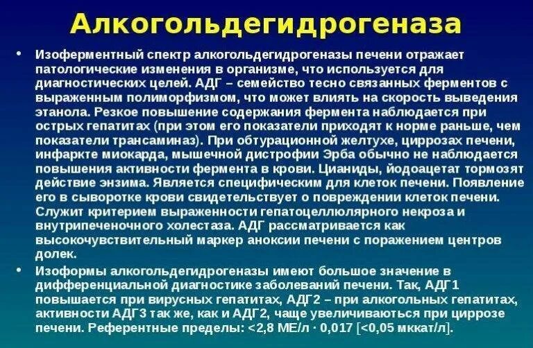 Реакция распада в организме. Фермент расщепляющий алкоголь в организме.