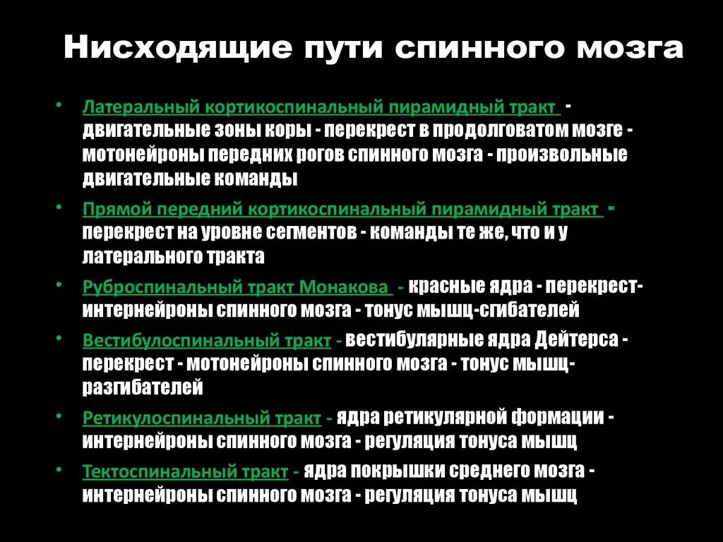 Нисходящие пути спинного. Восходящие и нисходящие пути спинного мозга. Восходящие и нисходящие пути спинного мозга таблица. Нисходящие проводящие пути спинного мозга. Перечислите нисходящие проводящие пути спинного мозга..