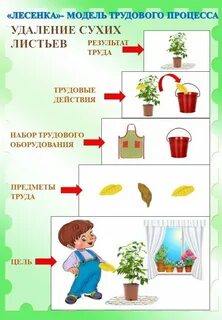Уход за растениями подготовительная группа