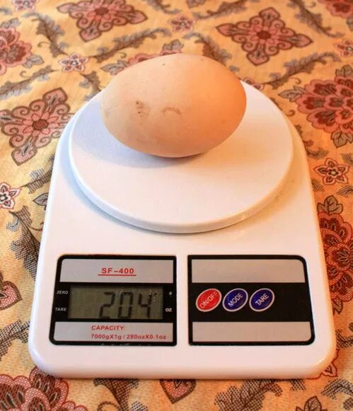 6 грамм яиц