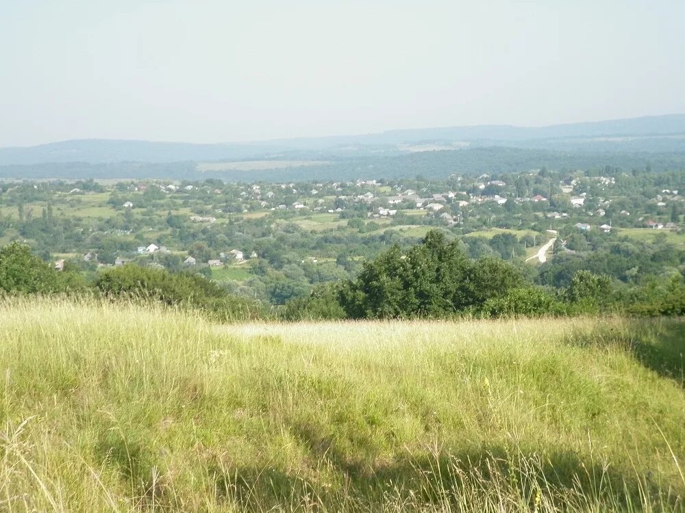 станица даховская. погода севастопольская адыгея. станица севастопольская майкопский район. станица севастопольская адыгея фото. станица севастопольская майкопский район.