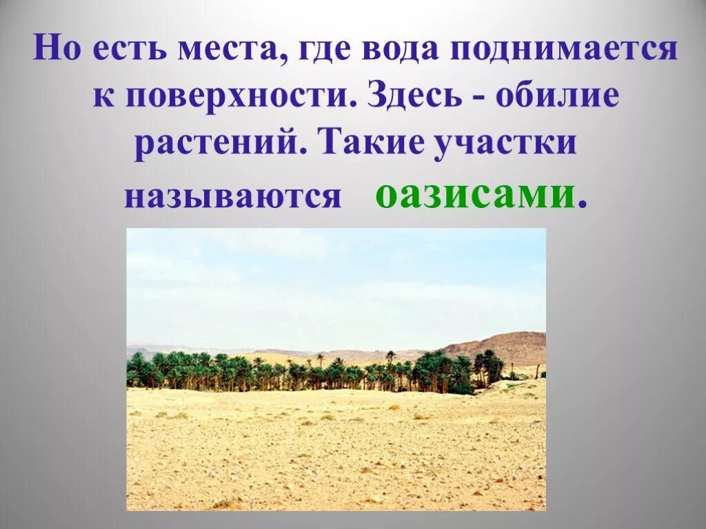 Пустыни и полупустыни России 8 класс. Зона пустынь и полупустынь. Пустыни и полупустыни презентация. Презентация пустыня и полупустыня.