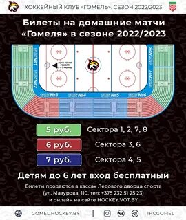 Программа гомель сегодня