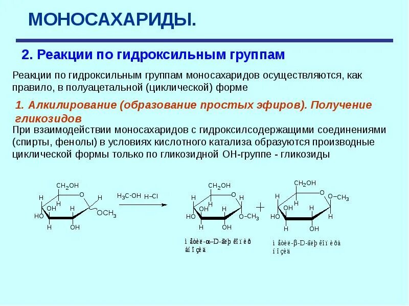 Реакции функциональных групп. Реакции гидроксильной группы моносахаридов. реакция алкилирования моносахаридов. алкилирование мальтозы. алкилирование моносахаридов.