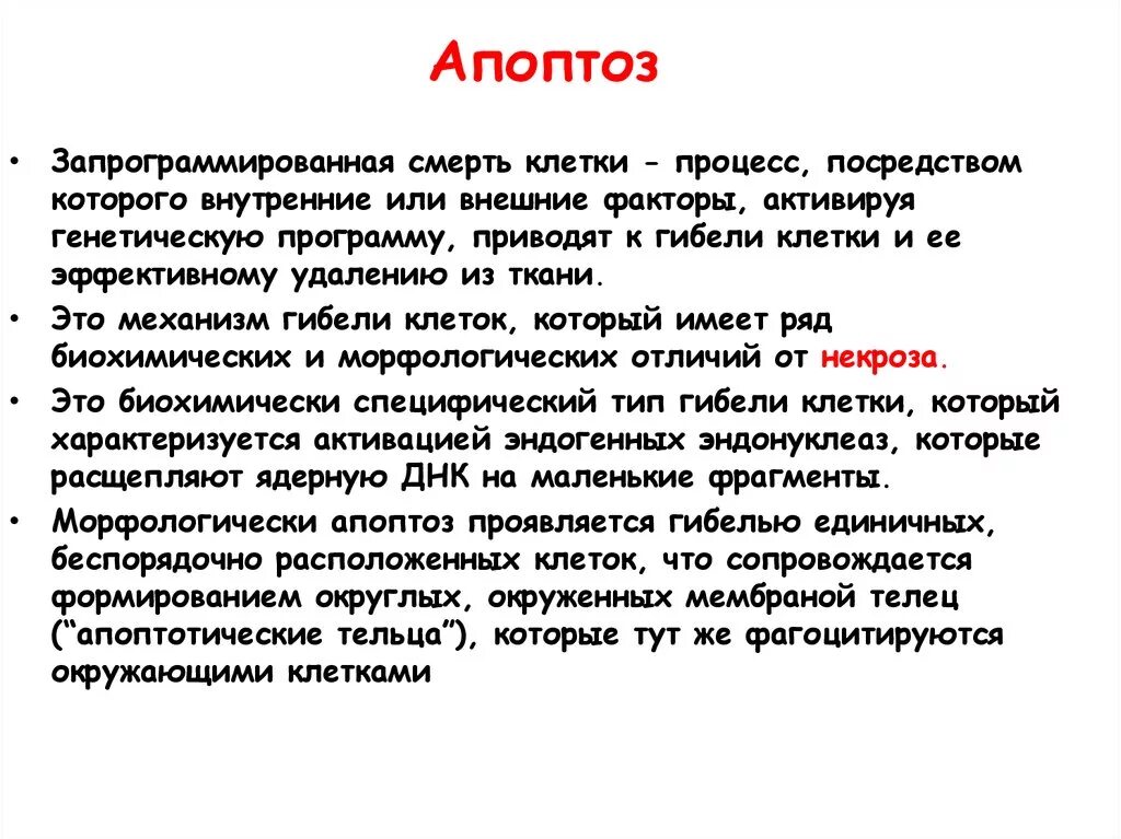 Апоптоз. Апоптоз клетки. Апоптоз запрограммированная смерть клетки. Апоптоз клетки кратко. Апоптоз клеток это