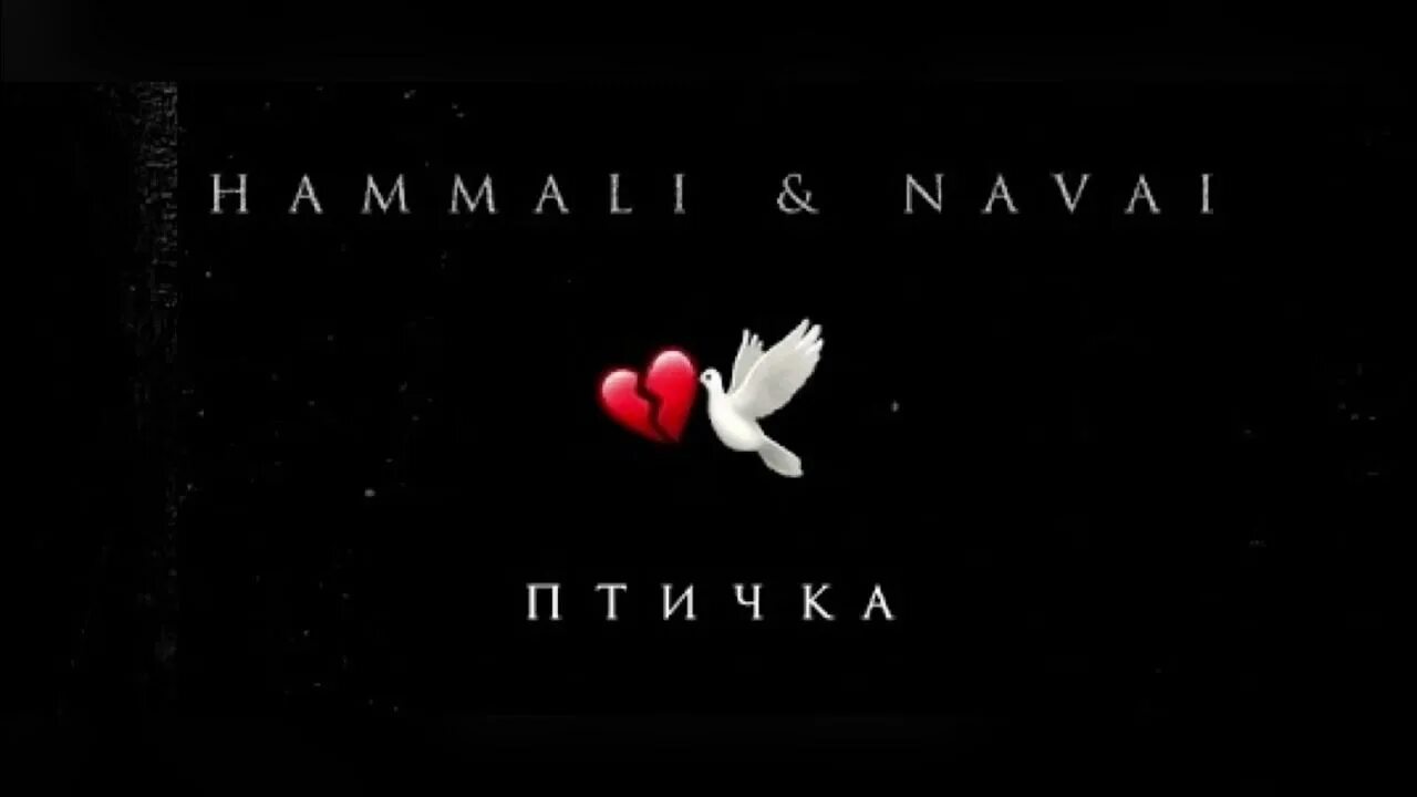 Птичка HAMMALI Navai. Птичка HAMMALI Navai обложка. HAMMALI Navai птичка Remix. Птичка аккорды HAMMALI.